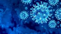 Graphic rendering of COVID-19 virus
